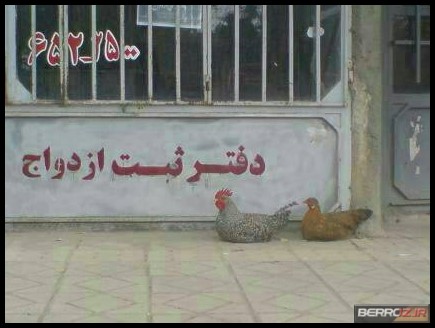 Funny pictures of Iran (4)