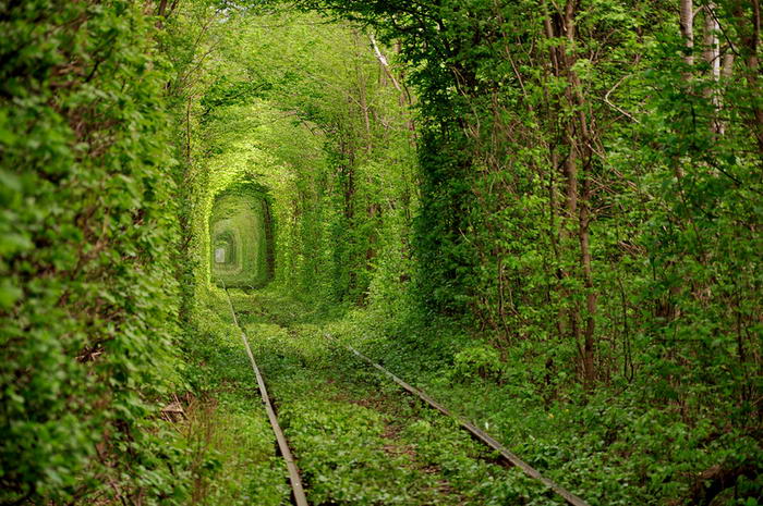 Tunnel-of-Love