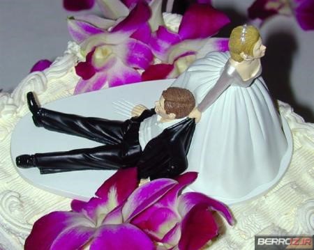 humorous wedding cake toppers (1)