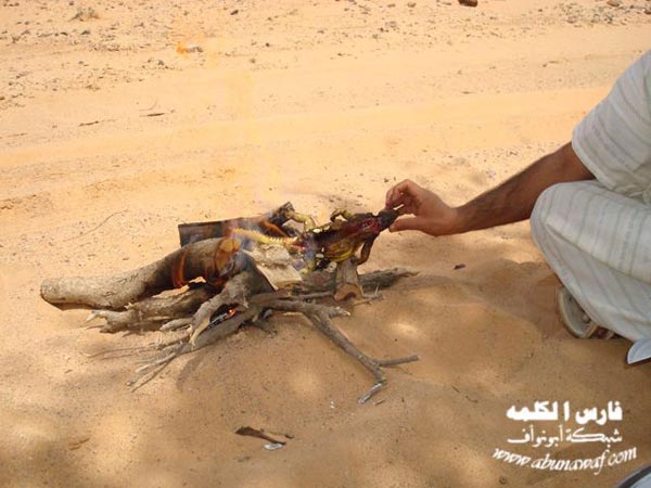 Eating Lizards Arab Emirates 12