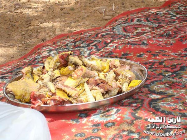 Eating Lizards Arab Emirates 15