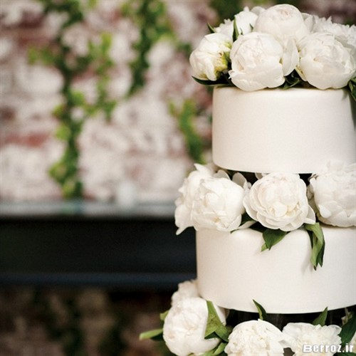 White Wedding Cake (6)