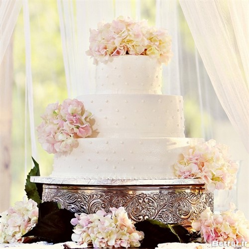 weddings photos white cake (11)