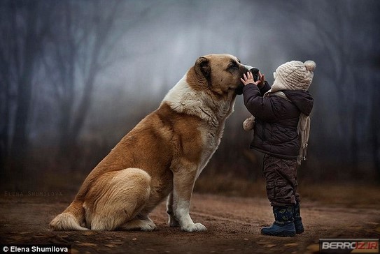 Friendship kids and big dogs (9)