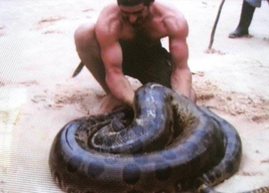 Photo of a man being eaten by a snake (2)