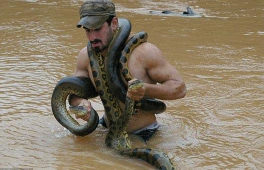 Photo of a man being eaten by a snake (3)