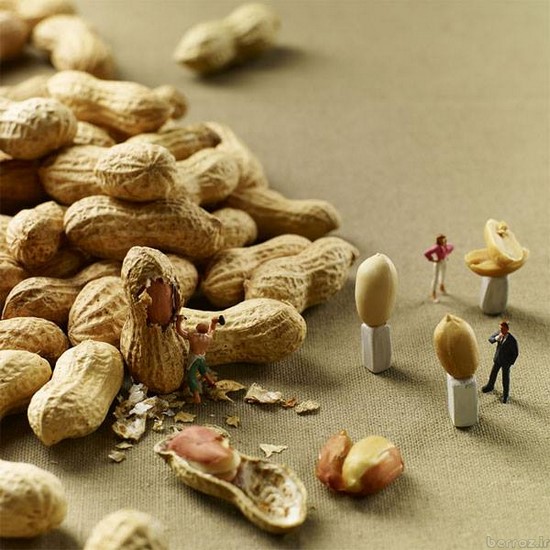 Interesting and creative photos with food (3)