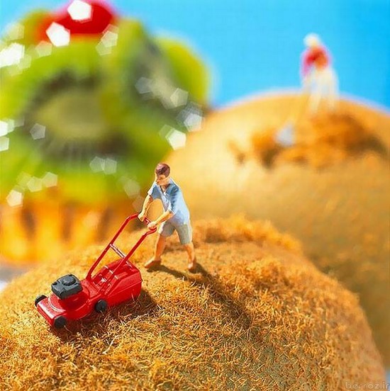 Interesting and creative photos with food (5)