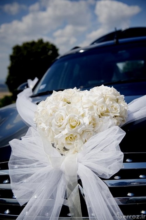 Wedding Cars  (11)