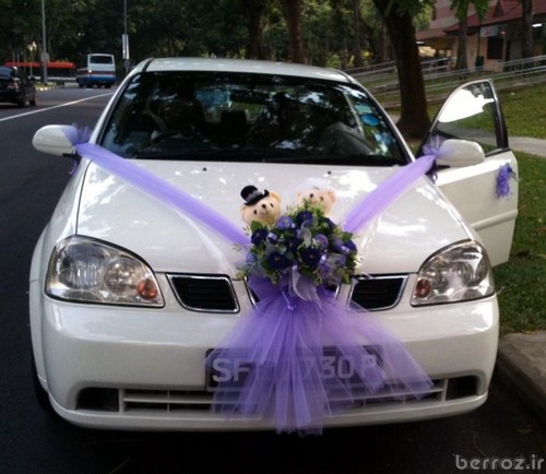 Wedding Cars  (7)