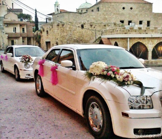 Wedding car model (10)