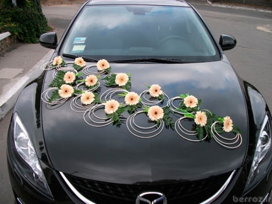 Wedding car model (12)