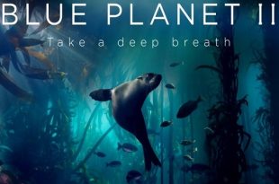 دانلود مستند Blue Planet II 2017