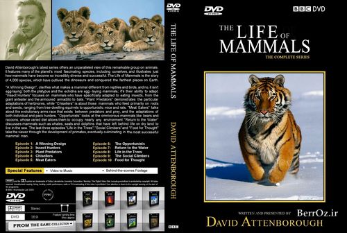دانلود مستند زندگی پستانداران با دوبله فارسی The Life of Mammals