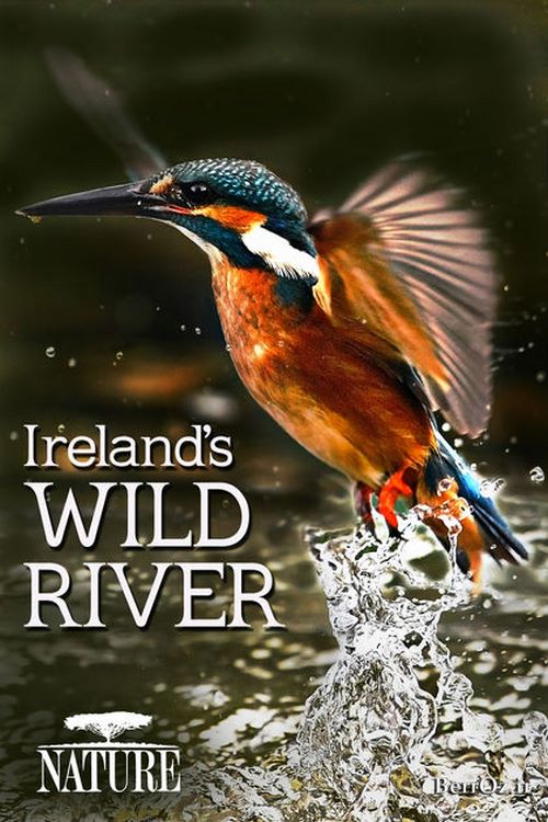دانلود مستند رودخانه وحشی ایرلند