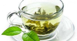 چای سبز, خواص چای سبز, فواید چای سبز