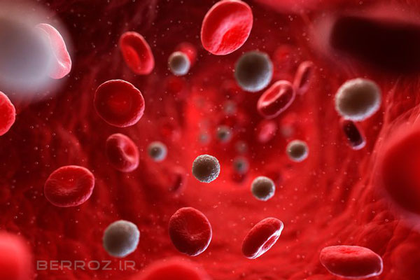 Blood-cells-berroz.ir